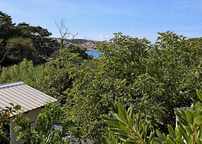 With Parking Space Lopar, Rab - 18005 Lopar